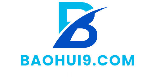 Baohui9